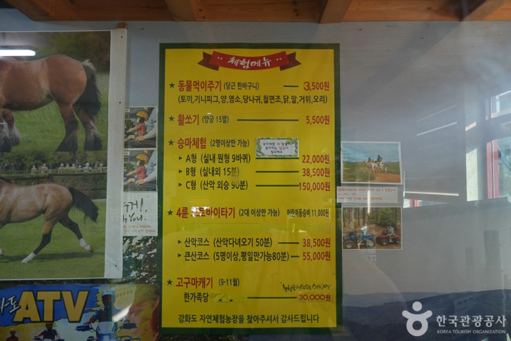 강화도 자연체험농장 여행 추천 - 메고지고