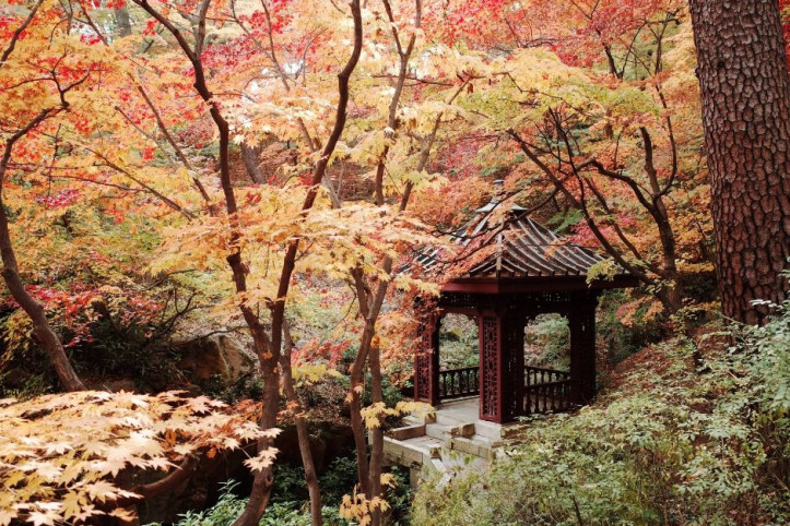 대원군별장(석파정) 여행 추천 - 메고지고