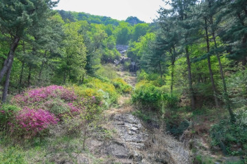 관악산자연공원 여행 추천 - 메고지고