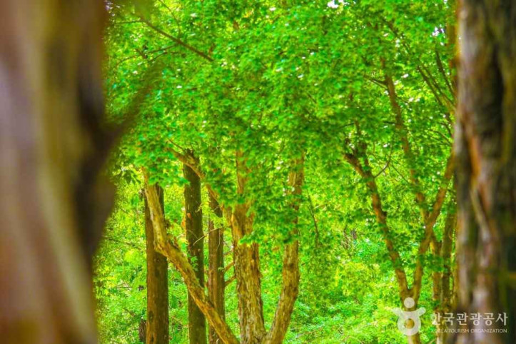 호산공원 여행 추천 - 메고지고