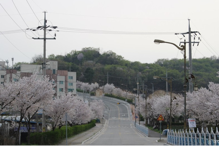 가남체육공원 여행 추천 - 메고지고