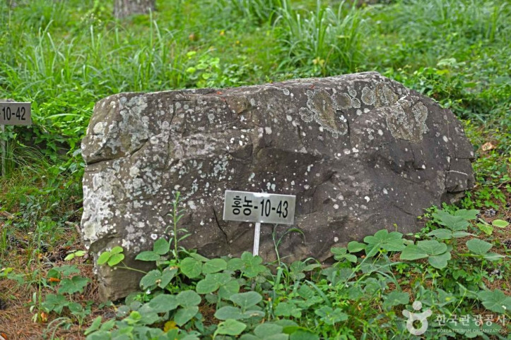 영광 성산리 지석묘군 여행 추천 - 메고지고