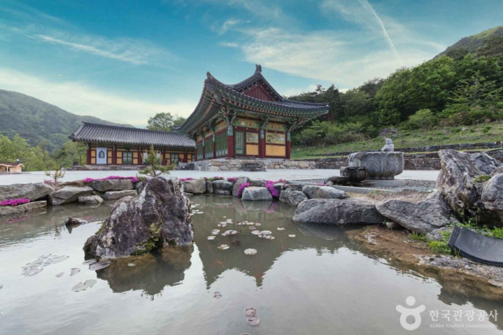 진전사 여행 추천 - 메고지고