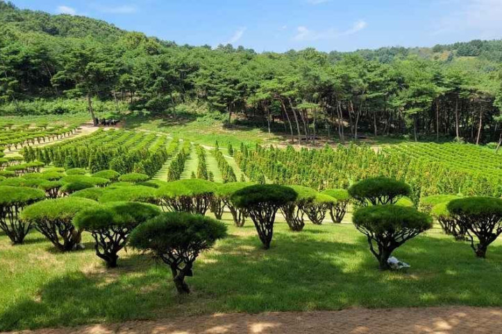 쌍계사(안산) 여행 추천 - 메고지고