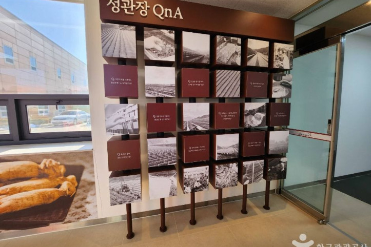 KGC인삼공사 원주공장 여행 추천 - 메고지고