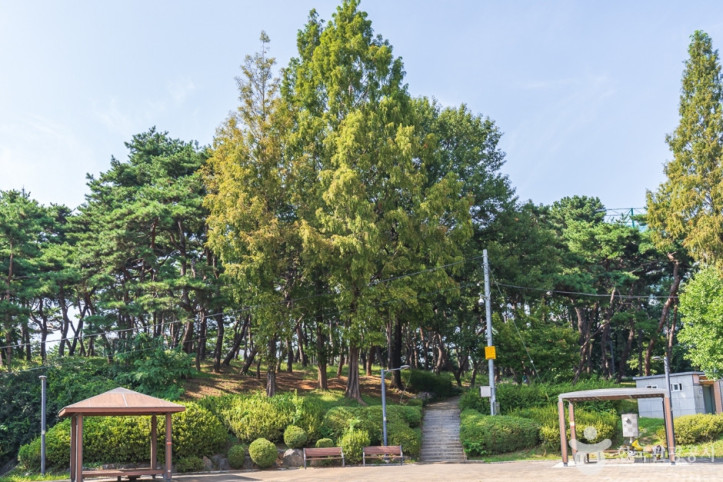 청주 발산공원 여행 추천 - 메고지고