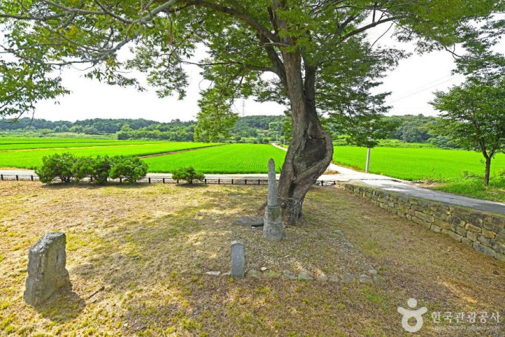 백암리남근석 여행 추천 - 메고지고