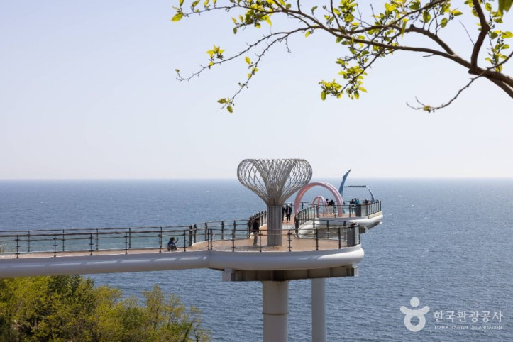 도째비골스카이밸리 여행 추천 - 메고지고