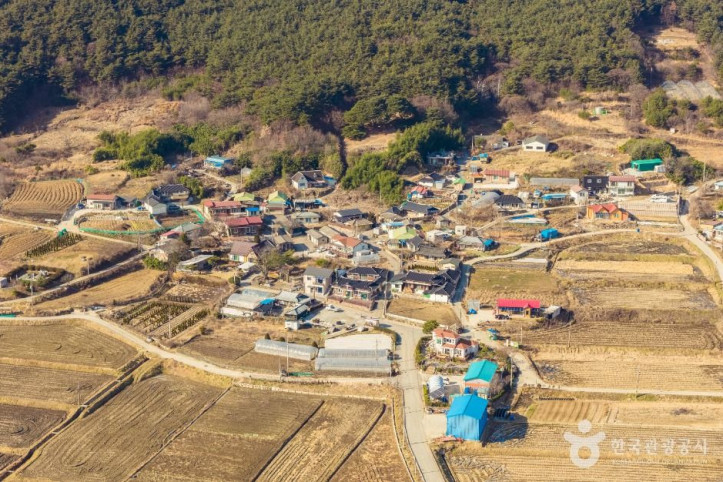 노치마을 여행 추천 - 메고지고