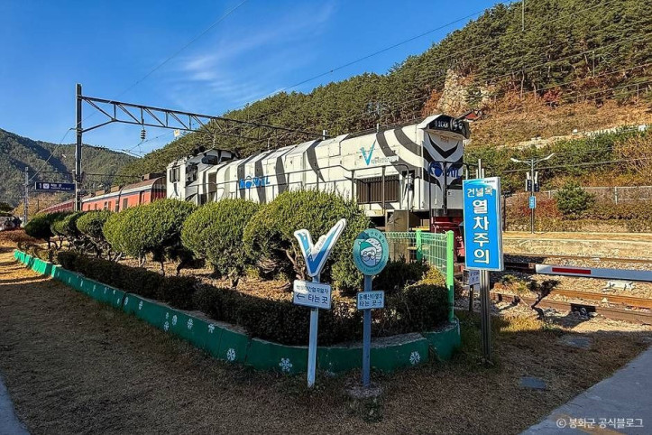 백두대간협곡열차(V-트레인) 여행 추천 - 메고지고