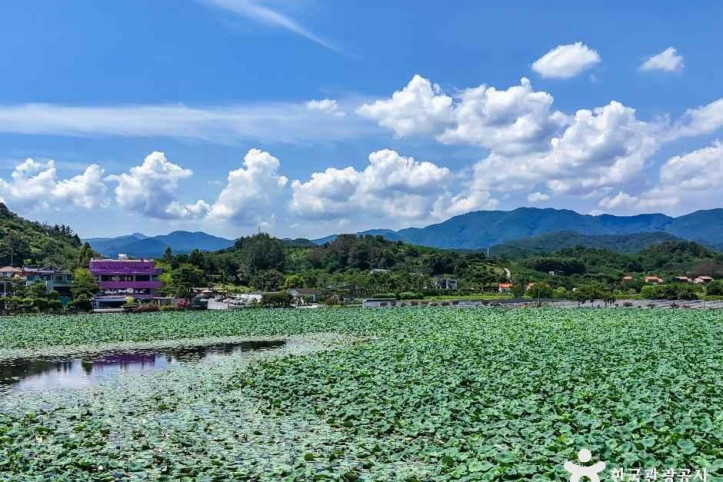 유등연지 여행 추천 - 메고지고