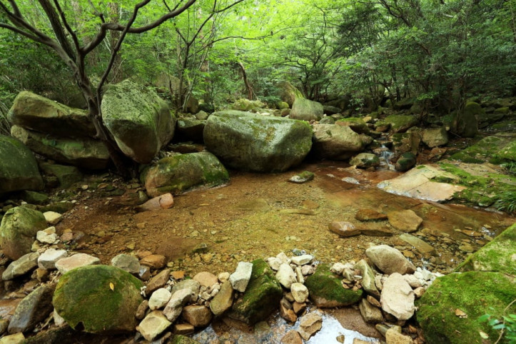 월출산국립공원 경포대지구 여행 추천 - 메고지고