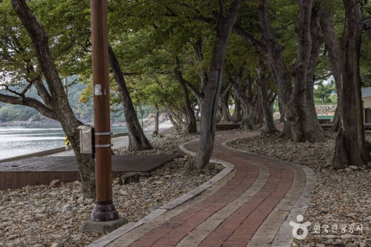 구미동해변 여행 추천 - 메고지고