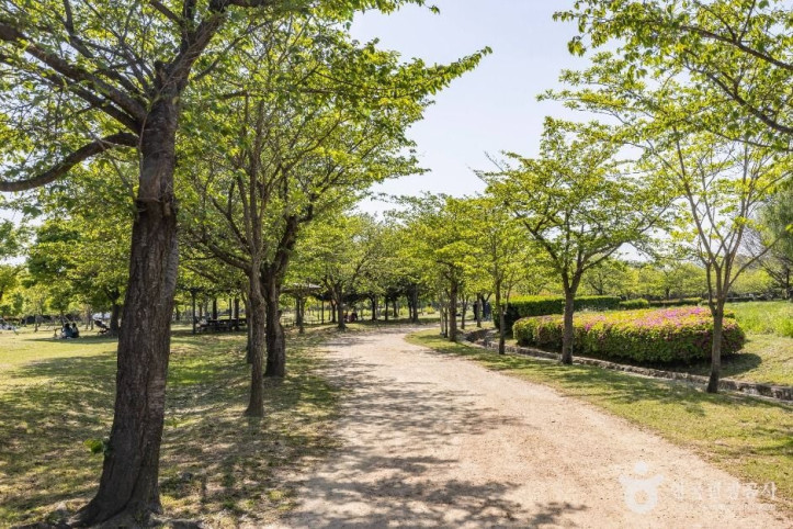 을숙도 공원 여행 추천 - 메고지고