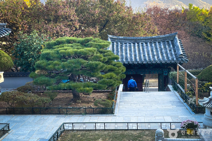 금용사(대구) 여행 추천 - 메고지고