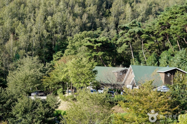 미숭산자연휴양림 여행 추천 - 메고지고