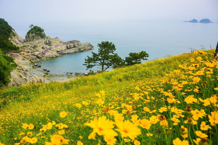 신선대(거제) 여행 추천 - 메고지고