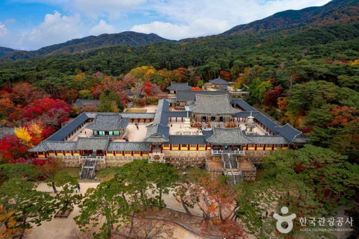 경주 불국사 [유네스코 세계유산] 여행 추천 - 메고지고