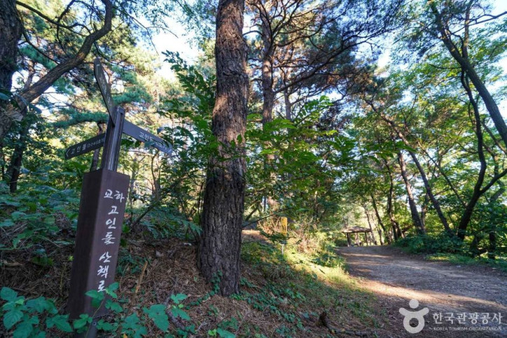 교하동 고인돌 산림욕장 여행 추천 - 메고지고