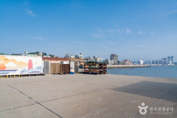 오아시스 여행 추천 - 메고지고