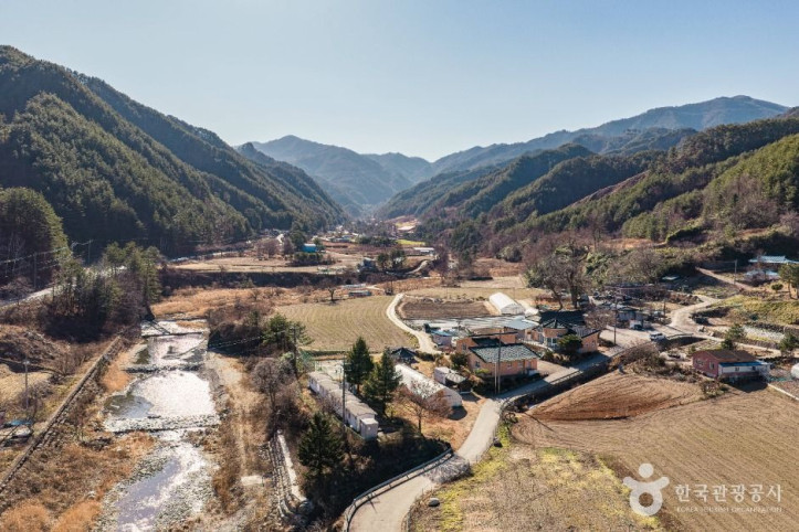 삼척 가시오가피마을 여행 추천 - 메고지고