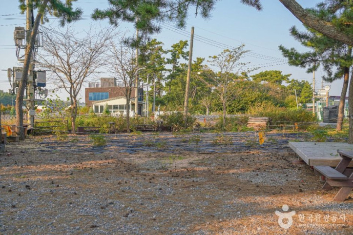 해뜨는 대부도 고랫부리 여행 추천 - 메고지고