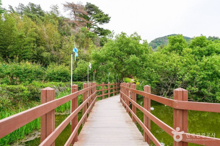 화동못수변공원 여행 추천 - 메고지고