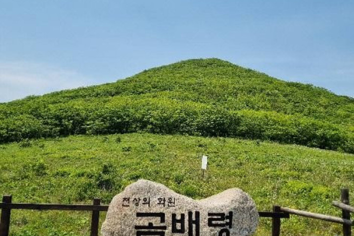 점봉산 곰배령 여행 추천 - 메고지고