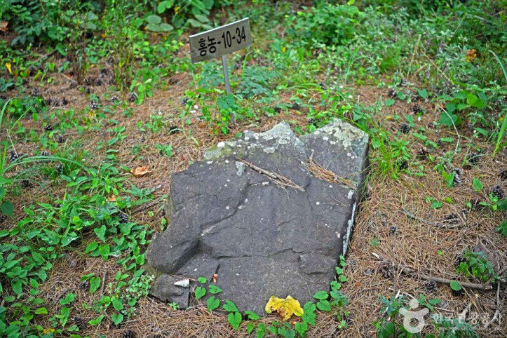 영광 성산리 지석묘군 여행 추천 - 메고지고