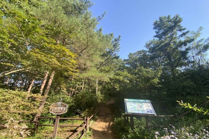 설악산 자생식물원 여행 추천 - 메고지고