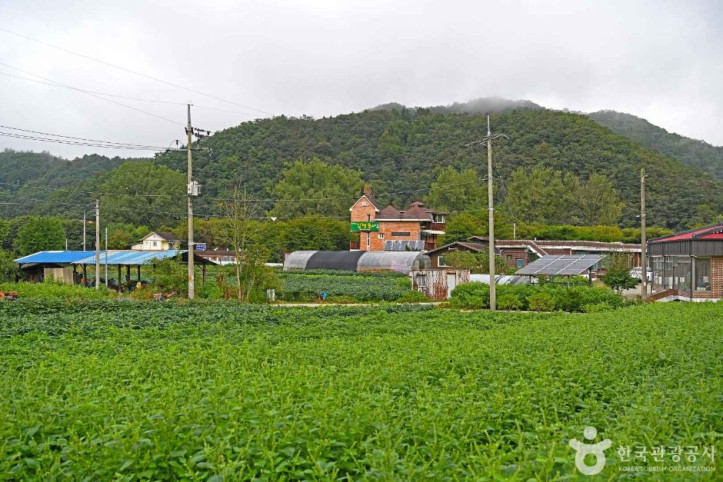 복주머니마을 여행 추천 - 메고지고