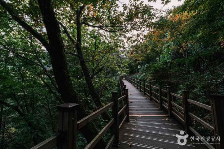 좌구산 자연휴양림 여행 추천 - 메고지고