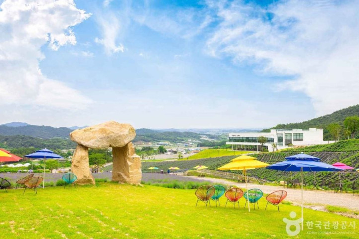 정읍 허브원 여행 추천 - 메고지고