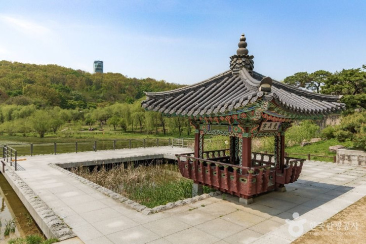 북서울꿈의숲 여행 추천 - 메고지고
