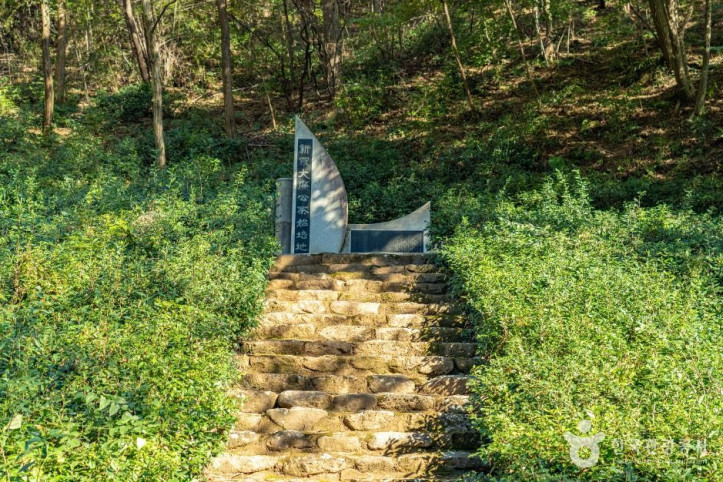 구례장죽전녹차시배지 여행 추천 - 메고지고