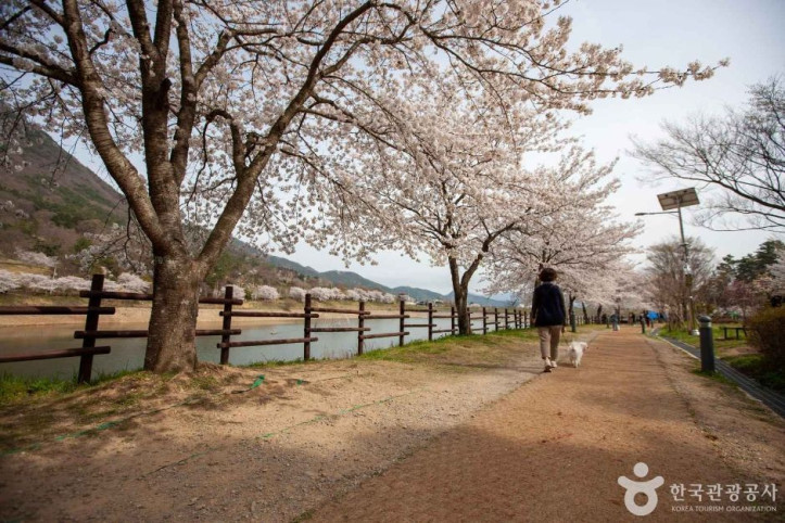 동구리호수공원 여행 추천 - 메고지고