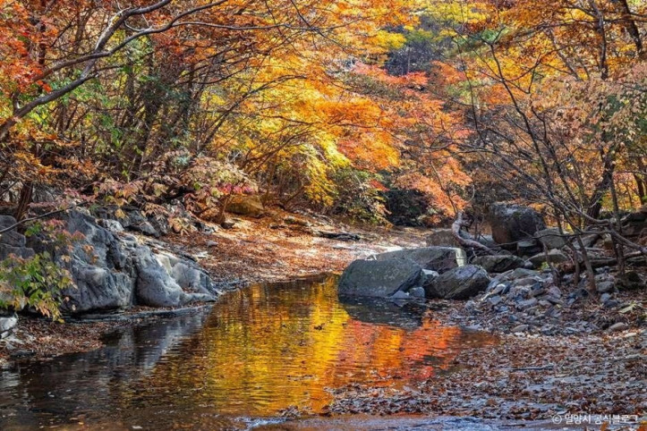 쇠점골계곡 여행 추천 - 메고지고