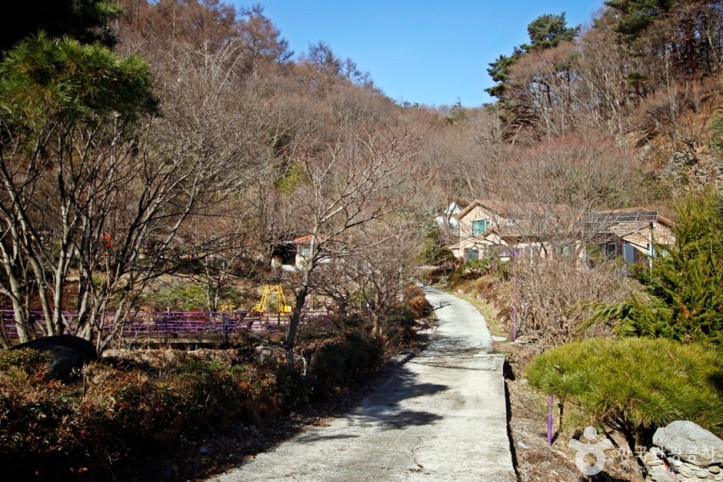 양떼목장임실치즈마을 여행 추천 - 메고지고