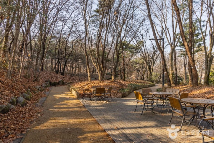 대모산도시자연공원 여행 추천 - 메고지고