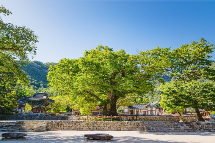 내소사(부안) 여행 추천 - 메고지고