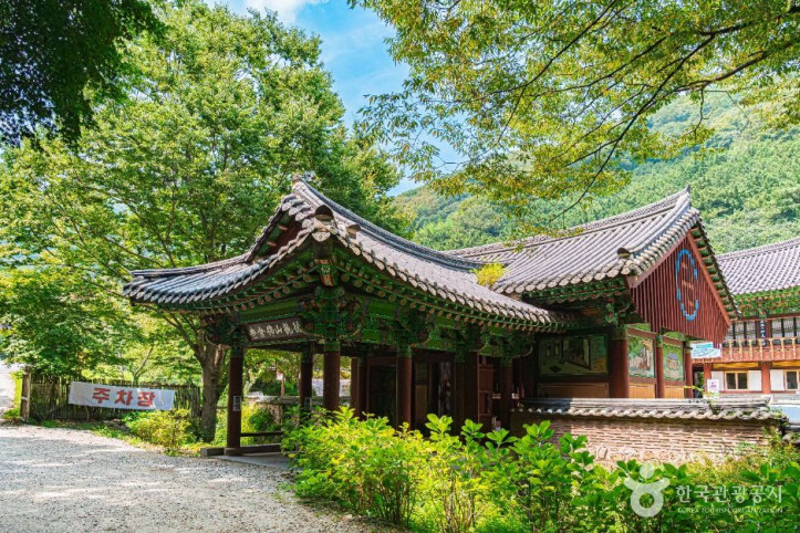 불회사(나주) 여행 추천 - 메고지고