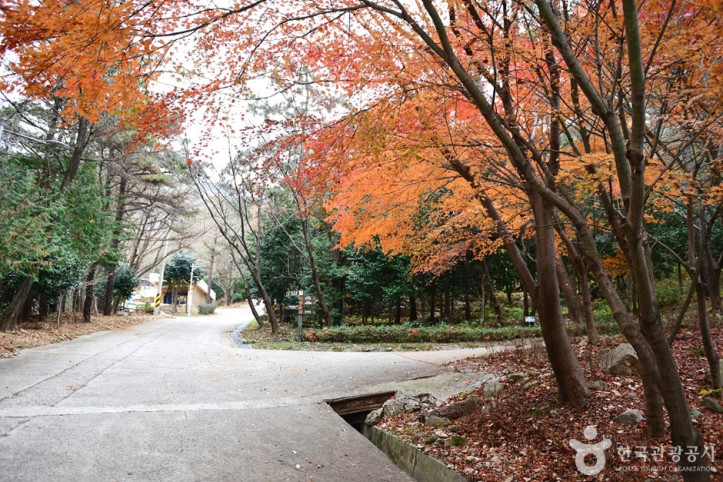 흑석산 자연휴양림 여행 추천 - 메고지고