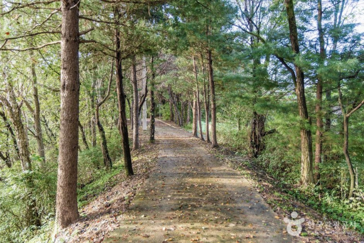 김화군민 망향탑 여행 추천 - 메고지고