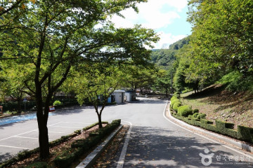 일붕사(의령) 여행 추천 - 메고지고