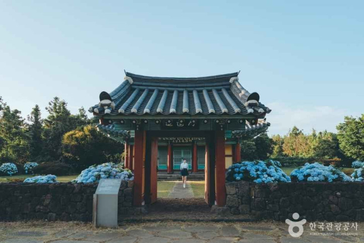 혼인지 여행 추천 - 메고지고