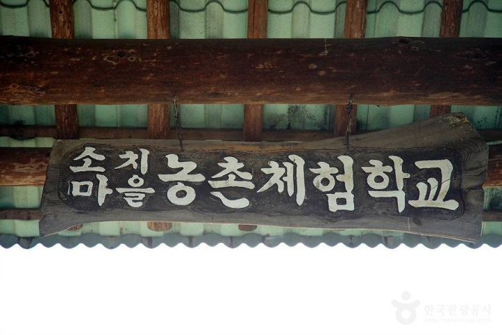인제 하늘여울소치마을 여행 추천 - 메고지고