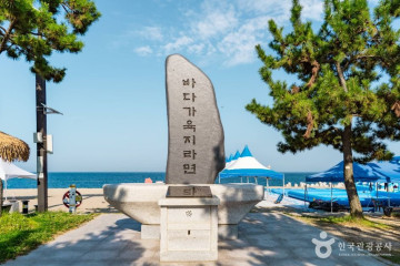 전촌솔밭해변 여행 추천 - 메고지고