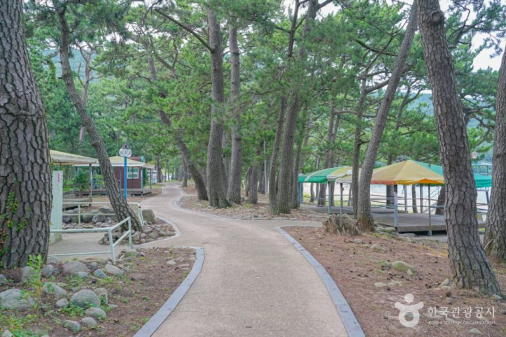 덕흥해수욕장 여행 추천 - 메고지고