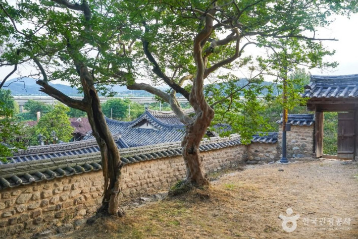달성 하목정 여행 추천 - 메고지고