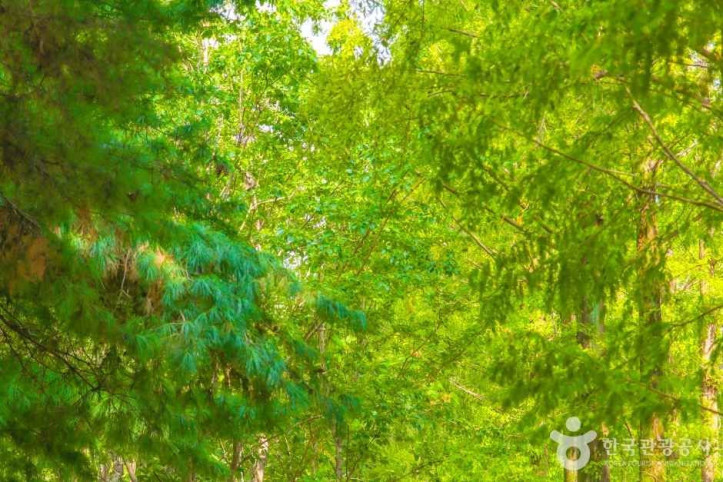 호산공원 여행 추천 - 메고지고